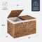 Best Choice Products Large Storage Basket w/ Separate Lid, Washable Sectioned Liner Bag